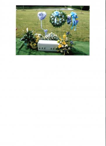 My flowers and grave
